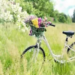 Апартаменты Holiday Studio Close To The Seaside Beach Сарбиново