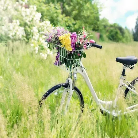 Apartment In Near Baltic Sea Sarbinowo